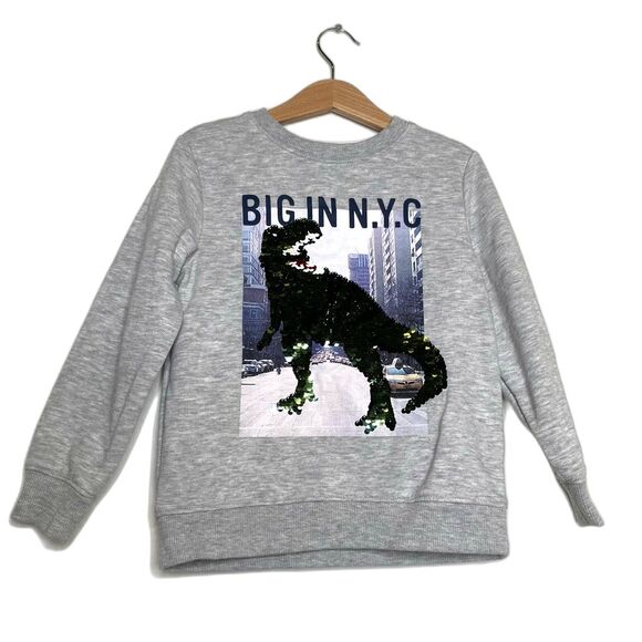 Dinosaur H&M Boys Sweatshirt Gray Heathered Big In N.Y.C Sequin Crew Neck 4-6 Y - Picture 1 of 10